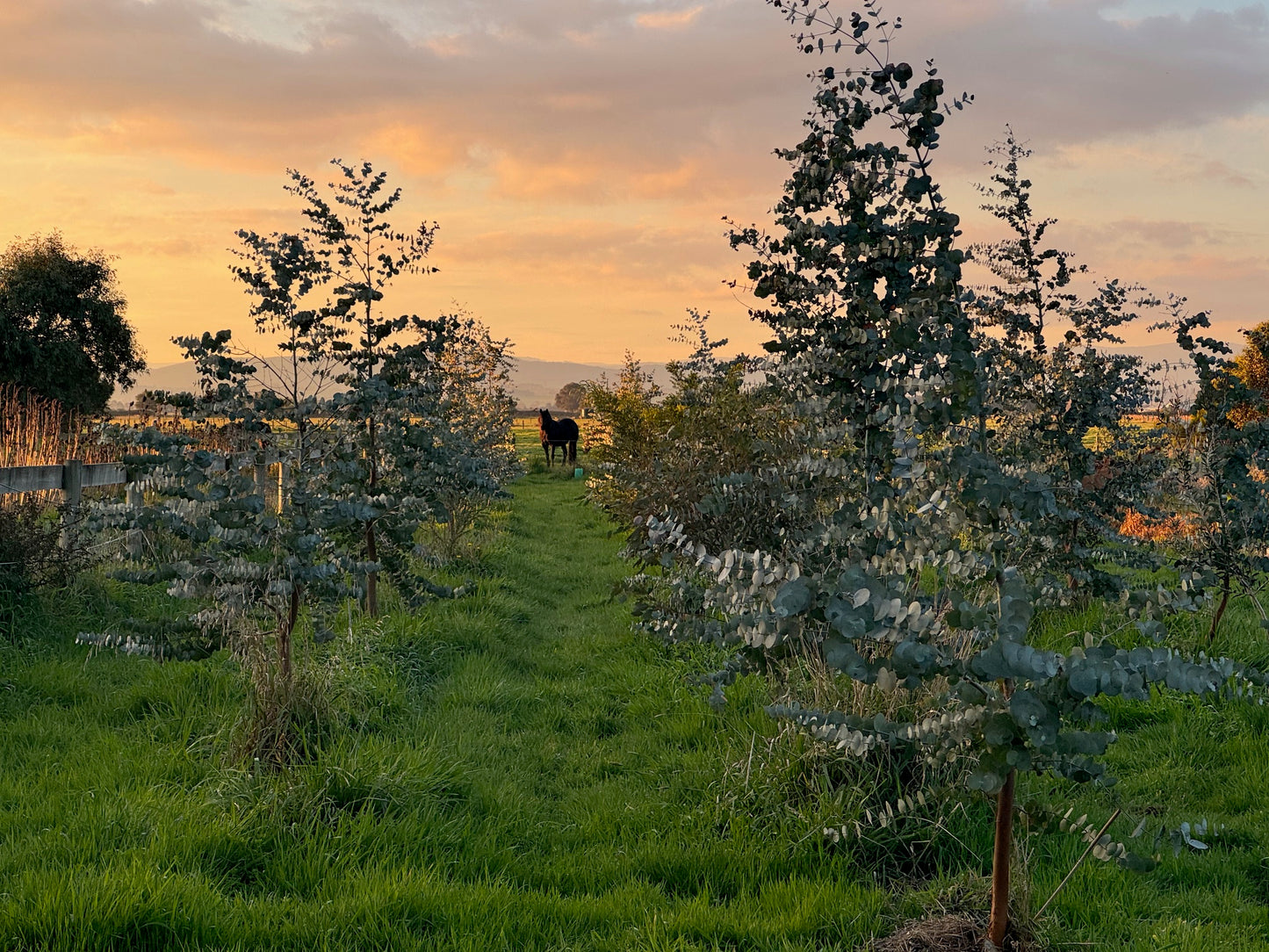 Wreath and Christmas Bauble Making Workshop - Sunday 30th November at 10am